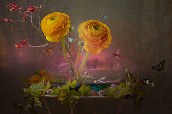 Still life red river, Flowers, butterflies, Leaves, Shell HD wallpaper