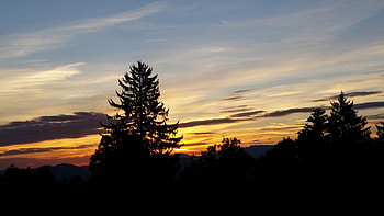 Trees, Sky, Clouds, Dark, Sunrise, Rise HD wallpaper