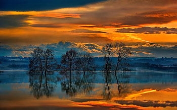 Magical Sky, nature, field, cloud, tree HD wallpaper