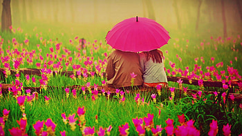 pink umbrella, flowers, umbrellas, pink, people HD wallpaper