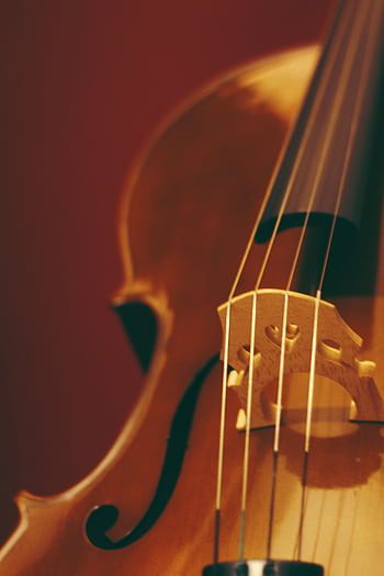 A detailed close-up of a violin showing the strings and bridge, highlighting craftsmanship. HD phone wallpaper