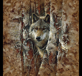 woodland spirit wolf, animals, trees, hot, cool, wolf HD wallpaper
