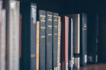 A focused view of books on a library shelf featuring various titles in soft lighting. HD wallpaper