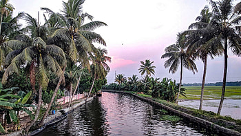 Canal Cruising, Kerala HD wallpaper
