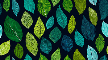 Verdant Rhythm — Leaf Pattern, artistic, pattern, leaf HD wallpaper