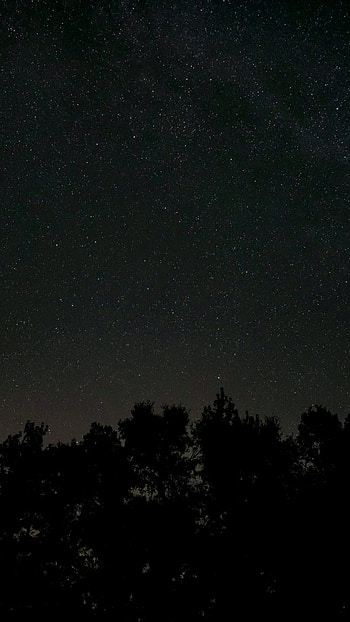 Stars, star, nature, night HD phone wallpaper