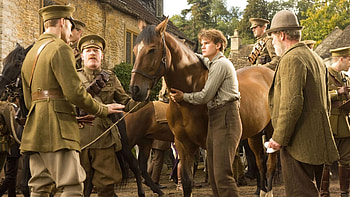 War Horse, Captivating horse, Historic backdrop, Stirring ry HD wallpaper