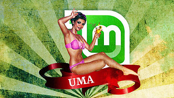 UmaLM, laptop, girl, linux, uma HD wallpaper