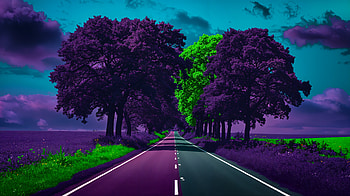 Vibrant Country Road - Ultra, country road, road, tree, landscape, surreal HD wallpaper