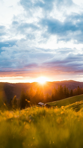 Sun in , delight, Stunning backgrounds, Ultra-realistic beauty HD phone wallpaper