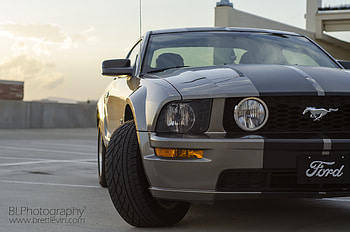 Ford, Cars, Front View, Headlight, Ford Mustang Gt HD wallpaper