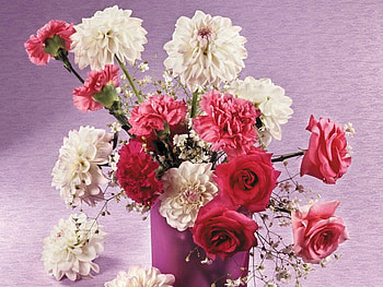 Flowers bouquet, rose, carnation, flower, nature, petal HD wallpaper