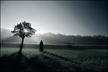 Are you there, field, girl, surreal, forest, sunrise, tree HD wallpaper
