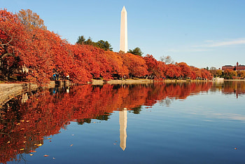 Fall season, D.C. travel, Autumn vacations, Fun-filled adventures HD wallpaper