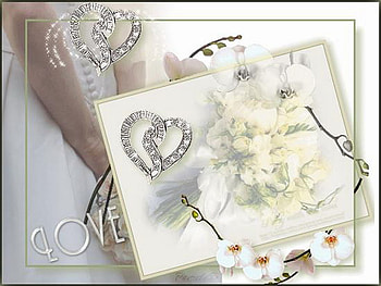 love, orchid, white, heart, bride HD wallpaper