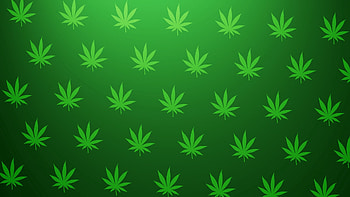 Background, Leaves, Texture, Textures HD wallpaper