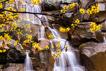 Nature, Stones, Leaves, Waterfall, Branches HD wallpaper