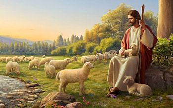 Jesus - Good Shepherd, lambs, Jesus, Good Shepherd, sheep HD wallpaper