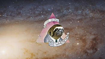 Andromeda Sloth HD wallpaper