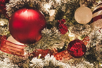 Close-up of festive Christmas tree decorated with red and white ornaments and snow-covered branches. HD wallpaper