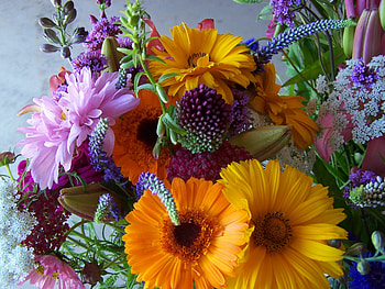 Lovely Flowers, Violet, Yellow, Love, Blue HD wallpaper