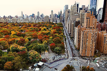 Central Park, Urban Oasis, Lush Greenery, Peaceful Escape HD wallpaper