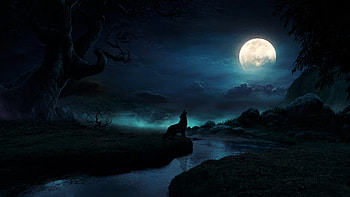 The calling, digital, night, cloud, nature, moon, Animal, wolf HD wallpaper