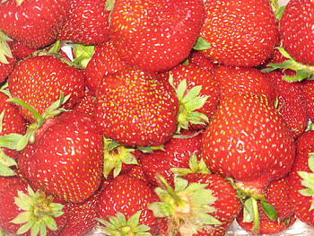 Strawberry, Background HD wallpaper