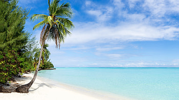 Beautiful Beach View Ocean Palm Trees White Sand Bushes Island Clouds Blue Sky Nature HD wallpaper