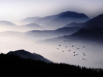 Clouds in Hills, birds, hills, , clouds, cool HD wallpaper