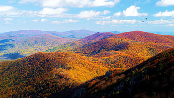 Fall in the Blue Ridges - Virginia, hills, leaves, clouds, landscape, trees, colors, sky, usa HD wallpaper