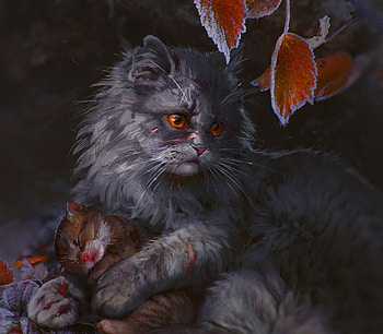 Warriors, winter, kitten, art, anna podedworna, cat, dark, fantasy, pisici, autumn, leaf HD wallpaper