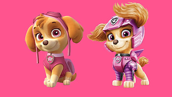 Paw Patrol protagonists, Animated series, Movie comparison, Side by side HD wallpaper