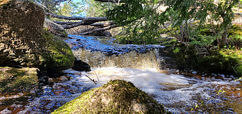 Little falls, Nature, Waterfall, Serenity, little HD wallpaper