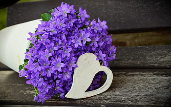Happy Valentine's Day!, valentine, purple, white, wood, flower, card, heart HD wallpaper