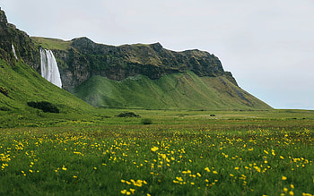 Seljalandsfoss, Iceland, river, wildflowers, meadow, rocks, landscape HD wallpaper
