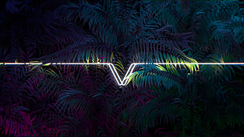 Shine, Light, Neon, Dark, Leaves, Line HD wallpaper