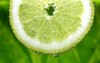 Fruits, Background, Lemons HD wallpaper