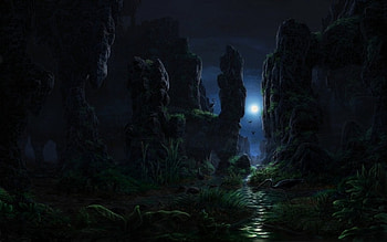 Night in the Forest, night, cool, cg, forest HD wallpaper