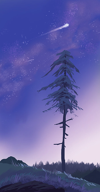 Grass, Art, Pine, Twilight, Dusk, Comet HD phone wallpaper