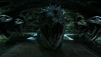 Chamber of Secrets, Harry Potter, 2002 Movie, Harry Potter Films HD wallpaper
