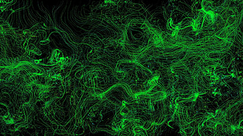 Abstract, Waves, Lines, Wavy, Neon HD wallpaper