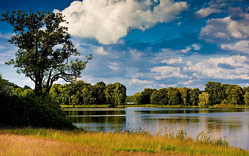 Riverside travels, riverside, Summer river trees, Wood for HD wallpaper