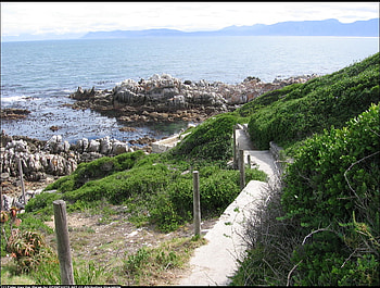 Cave Path Nature, blue, oceans, path, sesons, nature, water, rocks, beauty HD wallpaper