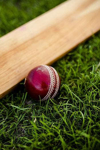 Cricket ball focus, Detailed close-up, Sports equipment, Cricket essentials HD phone wallpaper