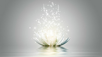Lotus, Yoga HD wallpaper