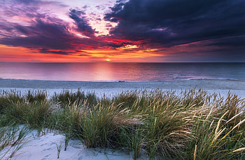 Sunset at the beach, colors, clouds, sky, Sea, grass HD wallpaper