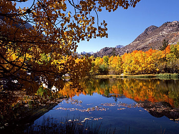 Nature, Rivers, Trees, Autumn, Leaves HD wallpaper