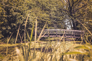 Nature, Rivers, Trees, Blur, Smooth, Bridge HD wallpaper