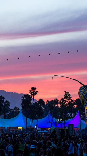 Coachella , Top Backgrounds HD phone wallpaper